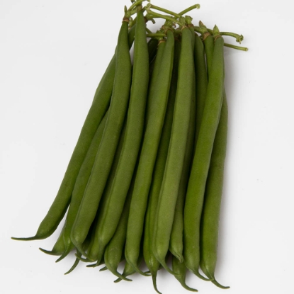 Picture of Dwarf French Bean kysia - Treated Seed (Apron)
